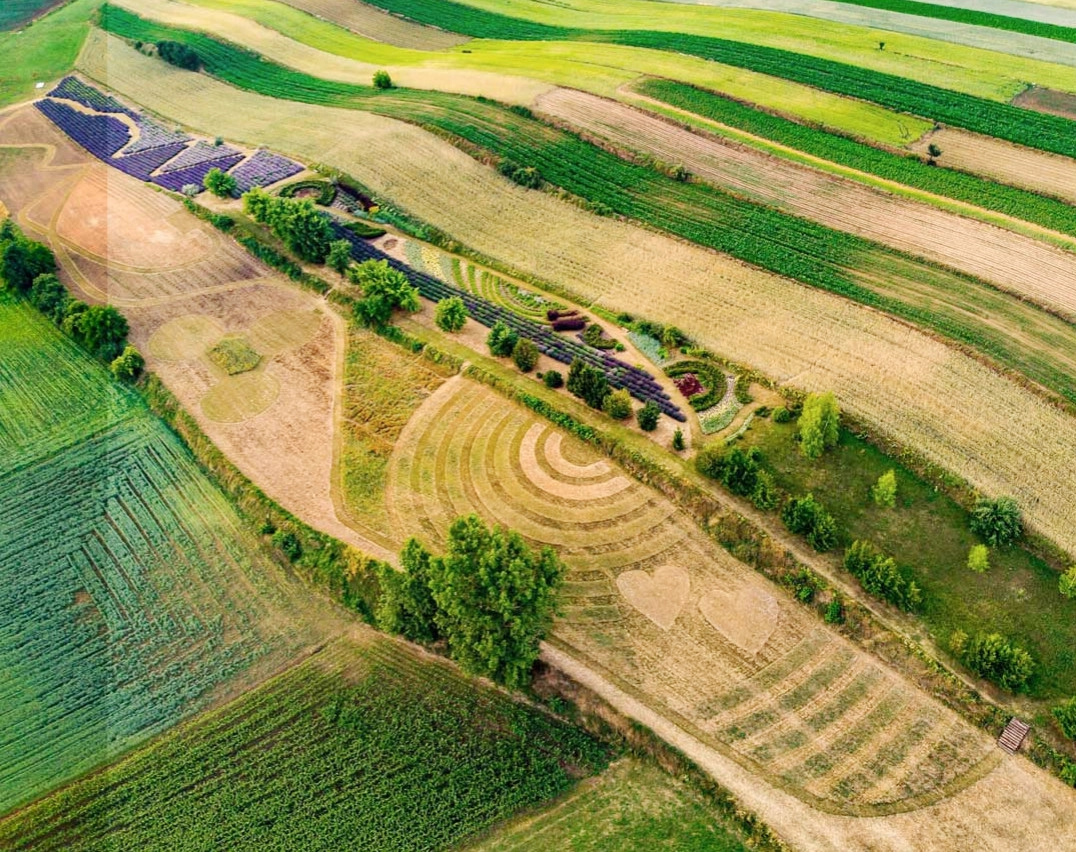 Unikalne walory estetyczne